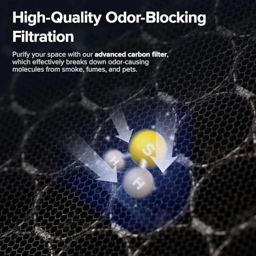 Vital 100S Replacement Filter